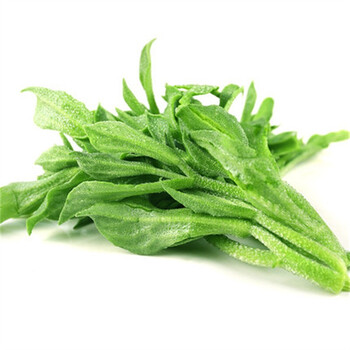 山东当季新品冰草新鲜蔬菜当季冰菜即食生吃蔬菜沙拉食材新鲜一盒250g