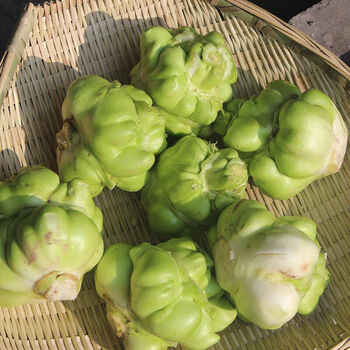 四川榨菜头新鲜蔬菜羊角菜10斤农家自种新鲜青菜头菱角菜1斤现发新鲜