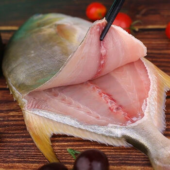 新鲜特大号金鲳鱼鲜活冷冻金仓鱼野生白鲳平鱼08斤1斤3条新鲜现捕