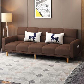 沙发小户型两用沙发床折叠客厅简易房经济型卧室单人双人布艺咖啡色总