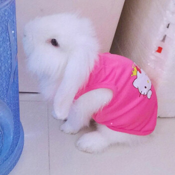 巨兔衣服兔子衣服宠物兔薄款背心夏季猫猫兔子衣服服饰可爱 粉色 xl