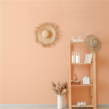 轻奢新款直播主播网红快手拍照背景布d摄影拍摄直播间装饰背景墙抖音