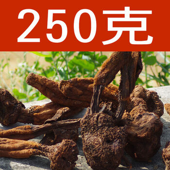 伟博野生续阳草250g/500g中药草回春草顶天柱男士滋补