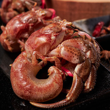 赛鲜者海鲜特产鲜活虾怪贝类食用小螃蟹椰子蟹大寄居蟹海怪1斤