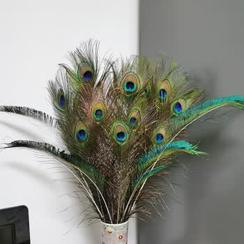 可狄(kedi) 孔雀翎羽孔雀尾 孔雀摆件孔雀羽毛饰品纯真孔雀翎尾毛大