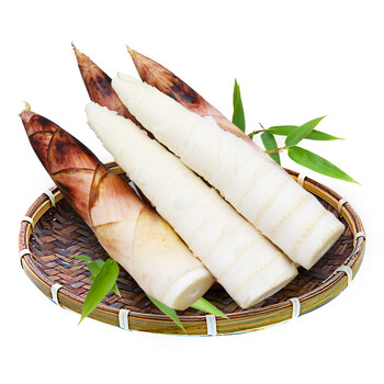 枫小七临安春笋新鲜现挖雷笋正宗浙江天目山鲜笋野竹笋生鲜现货 小笋2