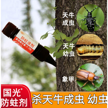 树内杀虫红枫柳树果树桃树象甲虫除蛤虫蛀杆害虫一插针灵农药杀虫剂