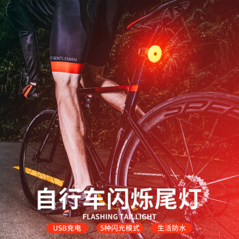 BIKEBROS自行车尾灯刹车灯骑行装备山地车公路车夜骑尾灯 坐杆安装支架 黑色