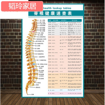 人体椎间盘常见病变颈椎脊椎全息图骨骼挂图医院腰墙贴脊椎健康速查表