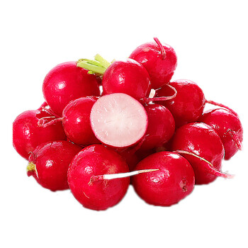 樱桃萝卜迷你小红萝卜水果萝卜新鲜生吃蔬菜沙拉食材2500g