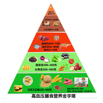 膳食宝塔食物模型 仿真食品中国居民平衡膳食宝塔模型健康食物营养