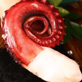 章鱼足即食刺身海鲜新鲜大鱿鱼足须冷冻八爪鱼鲜活章鱼脚鱿鱼脚4只装