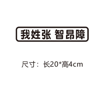 謝洗衣液謝車貼車尾創意搞笑百家姓氏拼音文字貼紙抖音網紅貼 我姓張