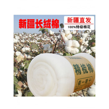 2021新款新疆棉花散装棉花 特级新疆长绒棉花散装天然棉花抱枕芯填充
