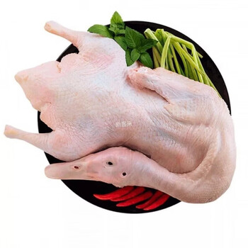 锦蜜姬白条鸭批发10只冷冻鸭子批发白条鸭批发整箱鸭子10只20斤光鸭48