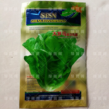 意大利耐抽苔生菜种孑耐热耐寒奶油生菜籽春夏秋四季阳台蔬菜种子大