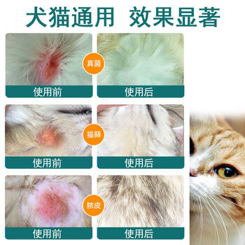 狗狗除螨真菌感染皮肤病掉毛猫皮肤癣耳螨药狗狗用外用药喷剂药膏喷剂 乳膏 大礼包 图片价格品牌报价 京东