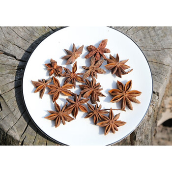 大茴香500g大回香茴香可磨粉八角茴香大料调料非特级广西八角回香