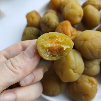 fghgf 农家冰梅300g腌青梅果干梅子干酸梅肉软话梅脆梅话梅福建永泰