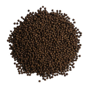 观赏虾粮黑壳虾螃蟹龙虾食颗粒虾饲料高蛋白鳌小型虾饲料高钙虾料 2