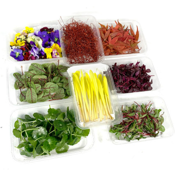 【顺丰】西餐摆盘花草 8种摆盘装饰套餐 三色堇酸模叶火红苗甜菜苗