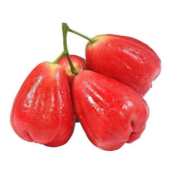 海南莲雾红宝石当季新鲜热带水果黑珍珠莲雾果整箱 3斤装(今日特价20