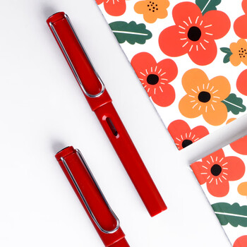 钢笔学生专用练字笔书法用笔硬笔刚笔男女孩墨囊吸墨钢笔明尖红色0