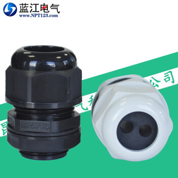 蓝江 二孔尼龙电缆固定头双孔电缆线防水接头密封锁紧格兰头塑料葛兰压盖夹套 MG25A-H2-08