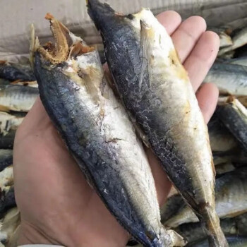 福建東山巴浪魚乾無頭鹹魚幹海乾魚鹽海魚小沒頭魚乾特產海鮮乾貨