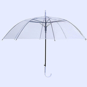 隆宸透明雨伞男女ins网红可爱半自动直柄学生儿童小清新雨伞透明白1把