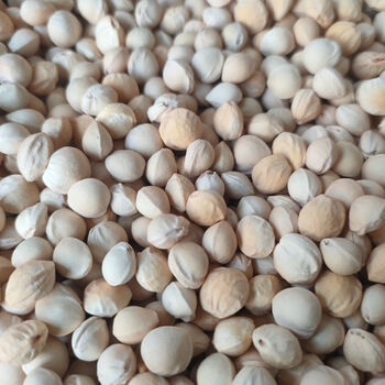 中药材 樱桃核 樱桃籽 樱桃子 500