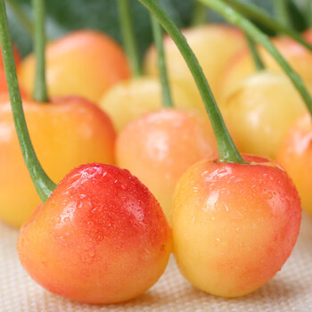 德鼎汇鲜烟台大樱桃新鲜孕妇水果国产黄车厘子黄水晶黄蜜黄金黄樱桃xl