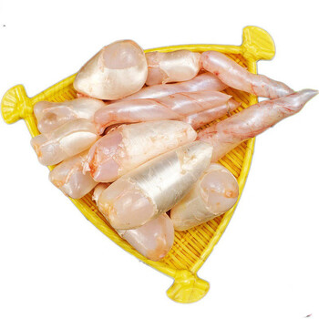 鲤鱼鱼泡鱼鳔鱼杂鱼籽鱼白野生鱼胶 【新鲜鱼泡】现杀现取速冻真空