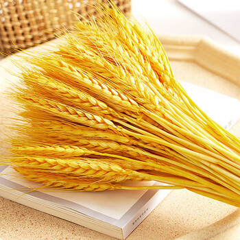 京东28金之春 黄金麦穗干花花束开业大麦干花摆件客厅装饰拍摄道具