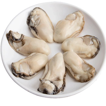 千船良品 生蚝肉鲜活牡蛎肉新鲜现剥无壳生蚝肉冰鲜 450g(两袋装)