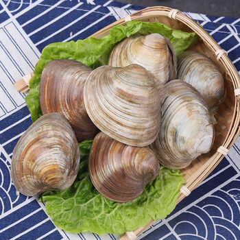 超大蛤蜊新鲜花甲贝类海鲜无沙超大美贝鲜活水产品批发 斓维品 五斤实