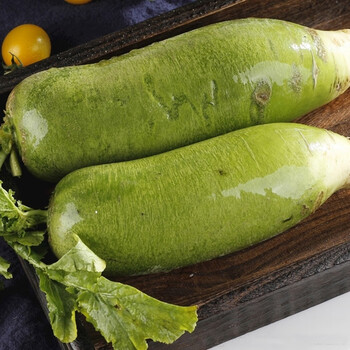 白衣鲜人山东潍坊水果萝卜三斤 新鲜蔬菜呆萌可爱饱满厚实萝卜 应季