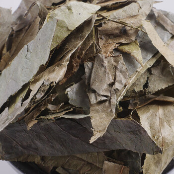 山香圆叶中药材50g-1000克七寸钉两指剑千打锤中草药店铺 500g