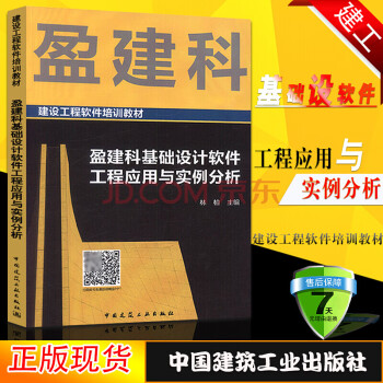 盈建科基础设计软件工程应用与实例分析 建设工程软件培训教材 林柏 桩基沉降计算 计算机培训书籍 中国