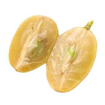 五季皇海南鸡心黄皮果无籽有籽新鲜现摘黄弹子当季孕妇冷冻饮品水果