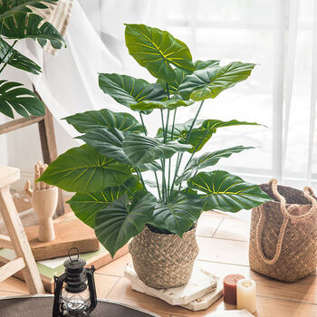 精品绿植北欧客厅仿真绿植龟背绿植摆件假花ins风装饰小盆栽桌面摆设