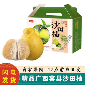 现货速发广西容县沙田柚18斤净重纯甜白肉柚子新鲜水果大籽沙田柚蜜柚