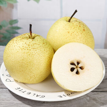 正宗雪梨河北大雪梨批发10斤冰糖雪梨新鲜梨子当季水果带箱95斤98斤中