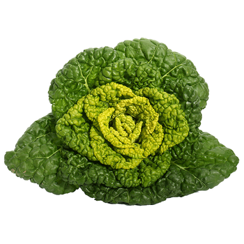 黄心菜5斤 乌乌塌菜 新鲜蔬菜霜冻 当季脆嫩菊花菜 2500g【图片 价格 