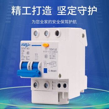 空气开关带漏电保护器断路器家用漏保2p n 2p n【16a】
