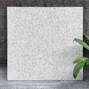 防滑防冻瓷砖户外院子花园阳台耐磨地砖芝麻白抗压地砖600600600600