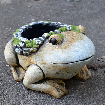 多肉花园庭院装饰青蛙动物水泥花盆多肉植物盆栽花器阳台园艺杂货摆件