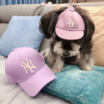 定制适用韩国ny宠物猫狗小帽子小型犬泰迪比熊la可爱露耳朵小狗棒球帽ins 紫色 微瑕l 图片价格品牌报价 京东