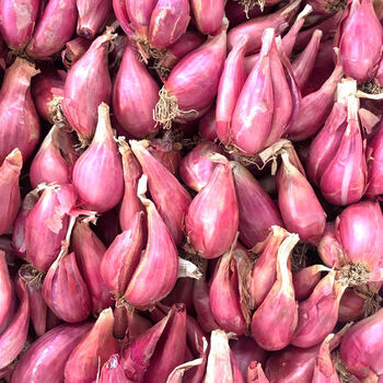 精选s级广东红葱头批发5斤干葱头红皮火葱小香葱食用熬油盆栽种植1斤
