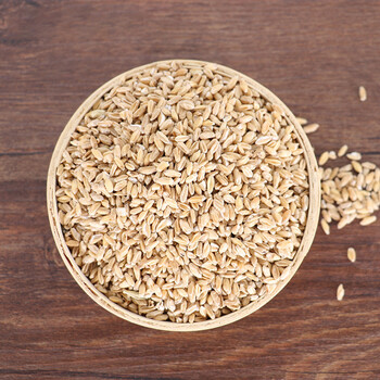 康美中药 浮小麦 河北产麸麦 浮麦 浮水麦 固表止汗盗汗除虚热中药材